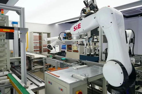 賽意信息2020年度業(yè)績說明會 智能制造業(yè)務(wù)高速增長，研發(fā)投入驅(qū)動智能機器人創(chuàng)新發(fā)展