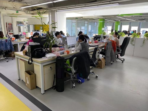 上地西二旗中關(guān)村軟件園1065平精裝辦公樓 即租即用，助力軟件開(kāi)發(fā)企業(yè)高效啟航